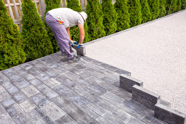 Best Professional Driveway Pavers  in Carolina Beach, NC